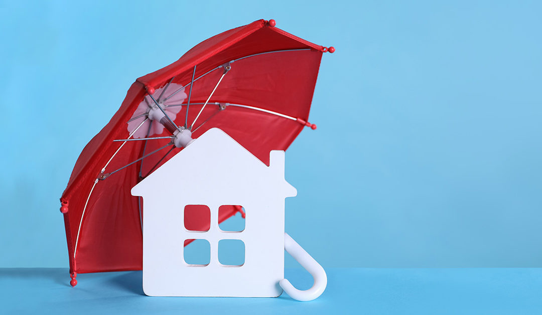 What is an Umbrella Policy, and should I have one?