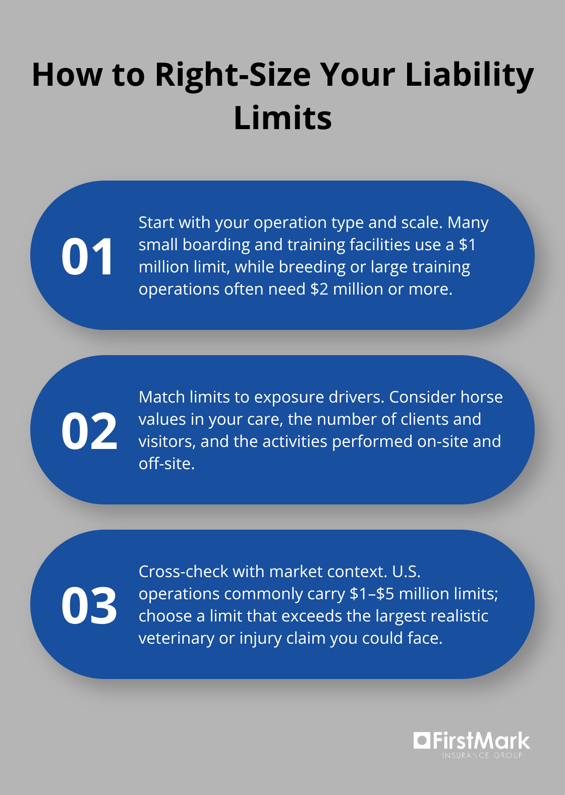 Three guidance points for selecting equine liability policy limits - Equine farm liability